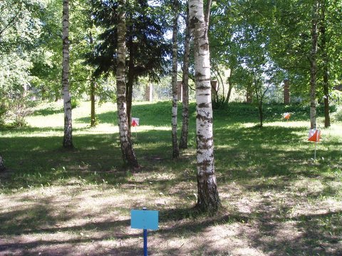 p6160041.jpg